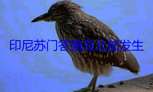 米印尼苏门答地震 震源生57级深度10千腊岛北部发