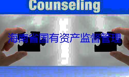 委副书记王有福接受审理委员会党查调查海南省国有资产监督管